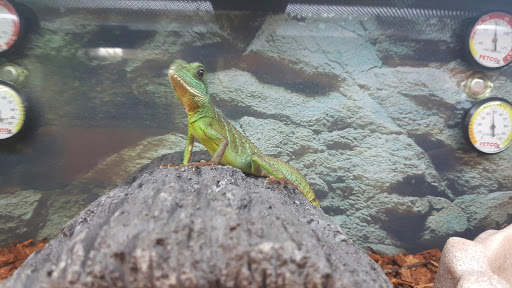 Pet Supply Store «Petco Animal Supplies», reviews and photos, 859 Kings Creek Dr, Tupelo, MS 38804, USA