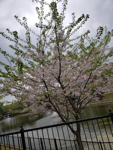 Museum «Millennium Gate Museum», reviews and photos, 395 17th St NW, Atlanta, GA 30363, USA