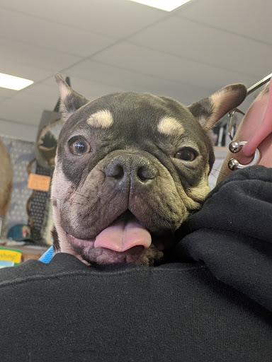 Bakery «Woofies Gourmet Dog Bakery», reviews and photos, 5087 W Ridge Rd, Spencerport, NY 14559, USA