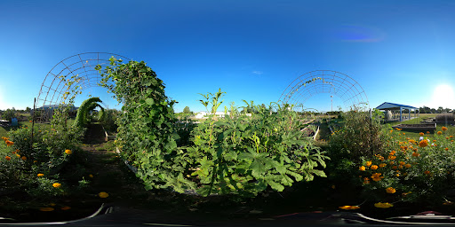 Non-Profit Organization «Helping Hands Inc», reviews and photos