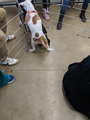 Pet Supply Store «Petco Animal Supplies», reviews and photos, 28400 Dequindre Rd, Warren, MI 48092, USA