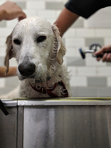 Pet Supply Store «Unleashed by Petco», reviews and photos, 2650 5th St b, Alameda, CA 94501, USA