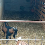 Photo n°5 de l'avis de tatiana.a fait le 04/07/2021 à 13:48 sur le  Farm Nonna Luisa à Ferentino