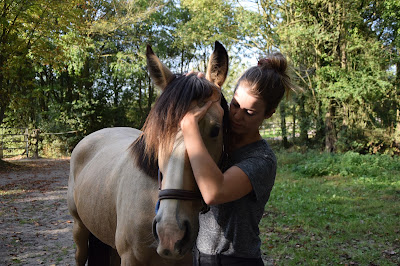 Julie PUJOL - Ostéopathe pour animaux à Bordeaux