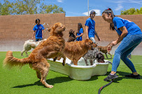 Doggie District - Grand Canyon