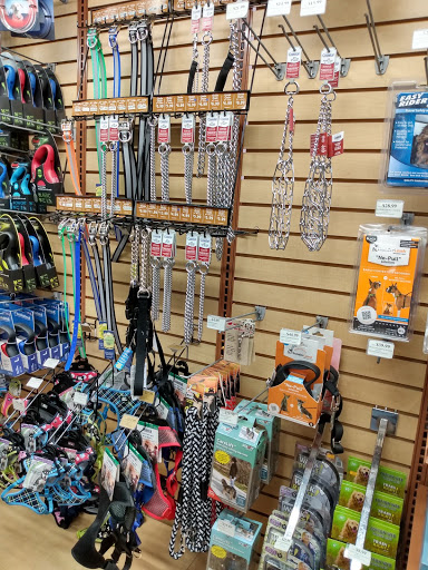 Pet Supply Store «Pet Supermarket», reviews and photos, 1800 W 68th St #140, Hialeah, FL 33014, USA