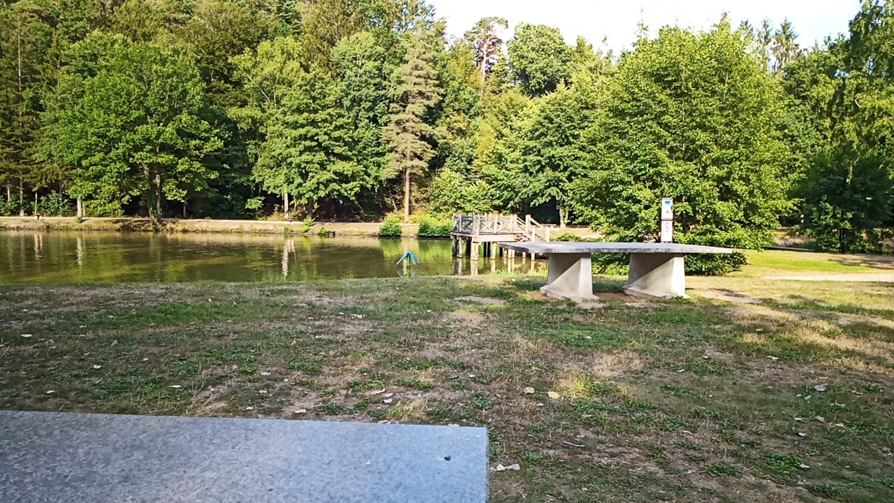 Photo n° 3 de l'avis de Raphael.e fait le 11/06/2019 à 06:32