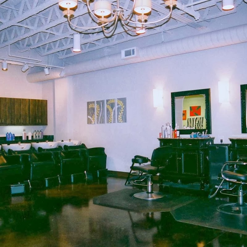 Dimension 74 Salon