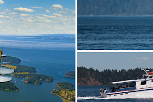 Fly 2 Whales - Seattle Whale Watching Flight Package image