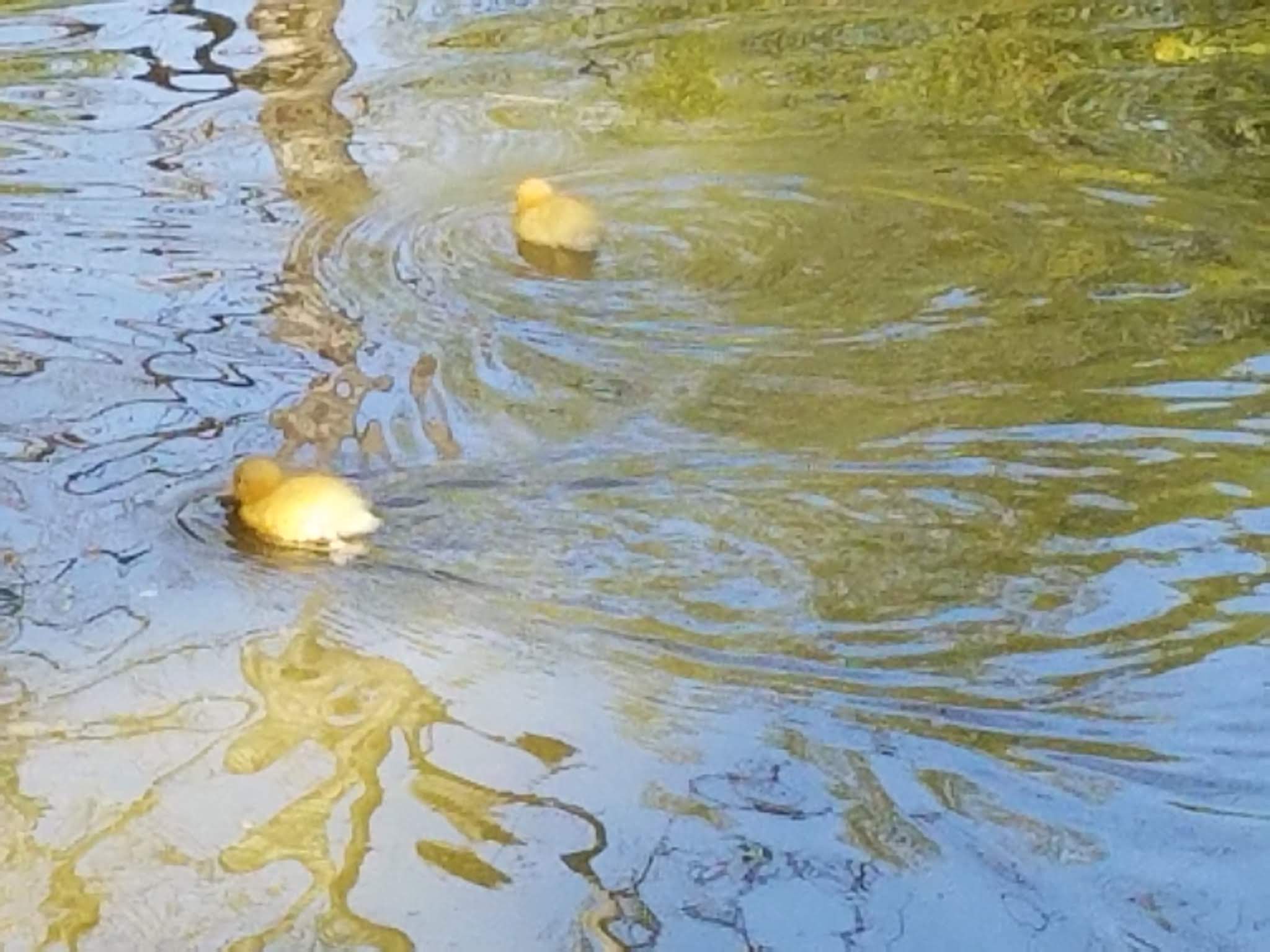 Photo n° 2 de l'avis de Elo.i fait le 14/09/2019 à 15:15