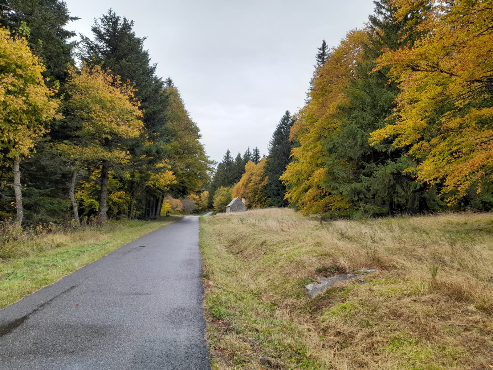 Photo n° 5 de l'avis de pacôme.a fait le 10/11/2023 à 19:50