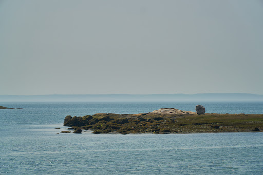 Nature Preserve «Cove Island Wildlife Sanctuary», reviews and photos, 1125 Cove Rd, Stamford, CT 06902, USA