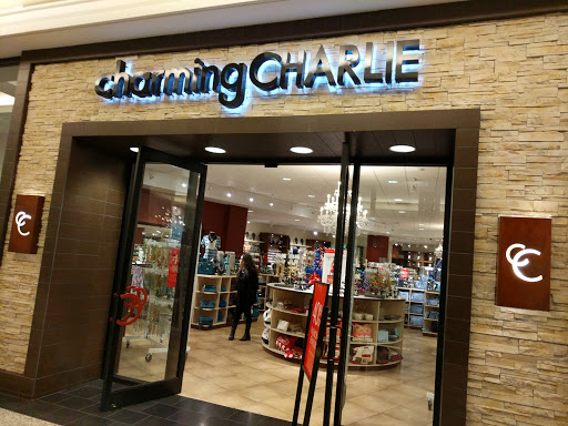 Fashion Accessories Store «Charming Charlie», reviews and photos, 520 N Michigan Ave #323, Chicago, IL 60611, USA
