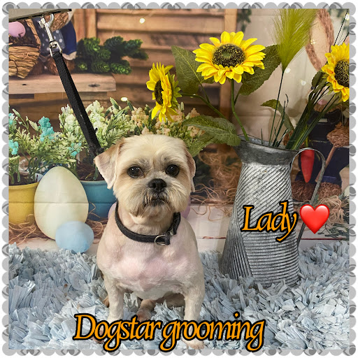 Photo of Dogstar Grooming