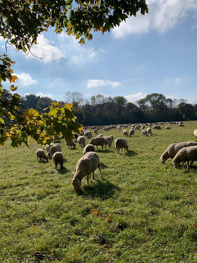 Schwabinger Bucht