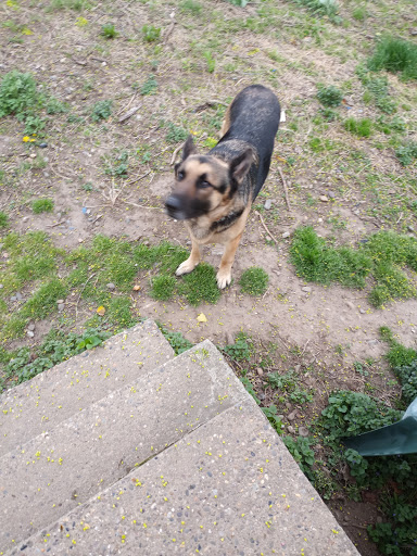 Pet Supply Store «PetSmart», reviews and photos, 157 Levittown Pkwy B, Levittown, PA 19055, USA