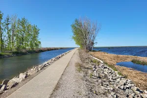 Quanicassee Wildlife Area image