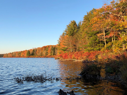 Bed & Breakfast «Inn at Lake Joseph», reviews and photos, 162 St Josephs Rd, Forestburgh, NY 12777, USA