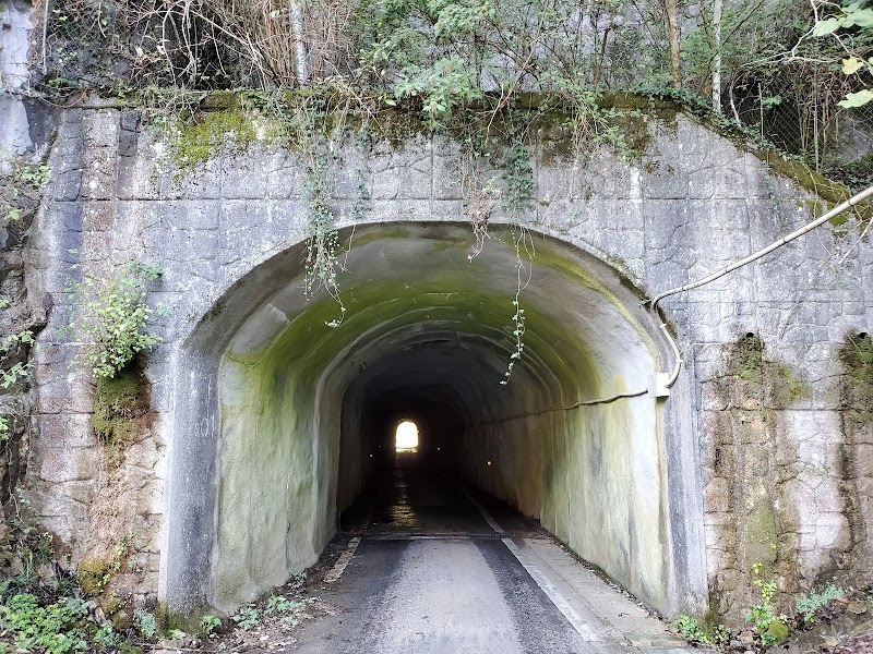 羽山第1トンネル
