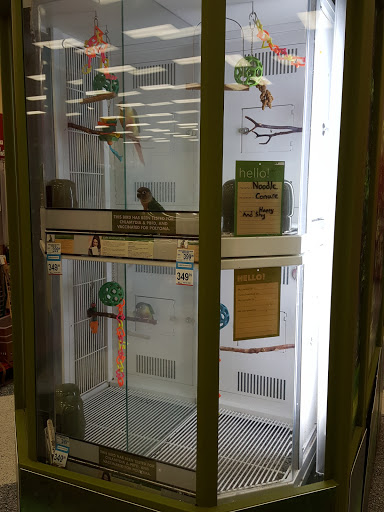 Pet Supply Store «Petco Animal Supplies», reviews and photos, 4209 Wheaton Way, Bremerton, WA 98310, USA