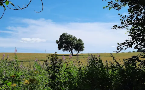 Green Way walk image