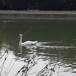 Photo n°1 de l'avis de antonio.a fait le 26/07/2021 à 18:37 sur le  Pizzeria number one à Bresso