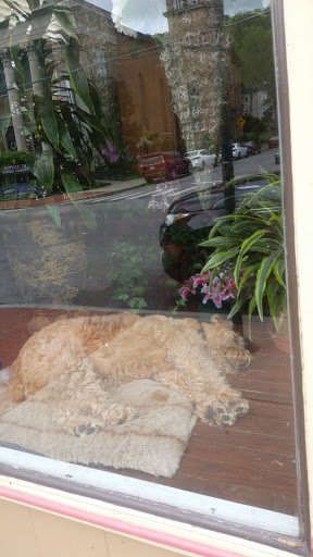 Del Apgar Florist, 3755 Eastern Ave # 1, Cincinnati, OH 45226, USA, 