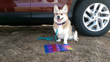 Quad Cities Dog Center