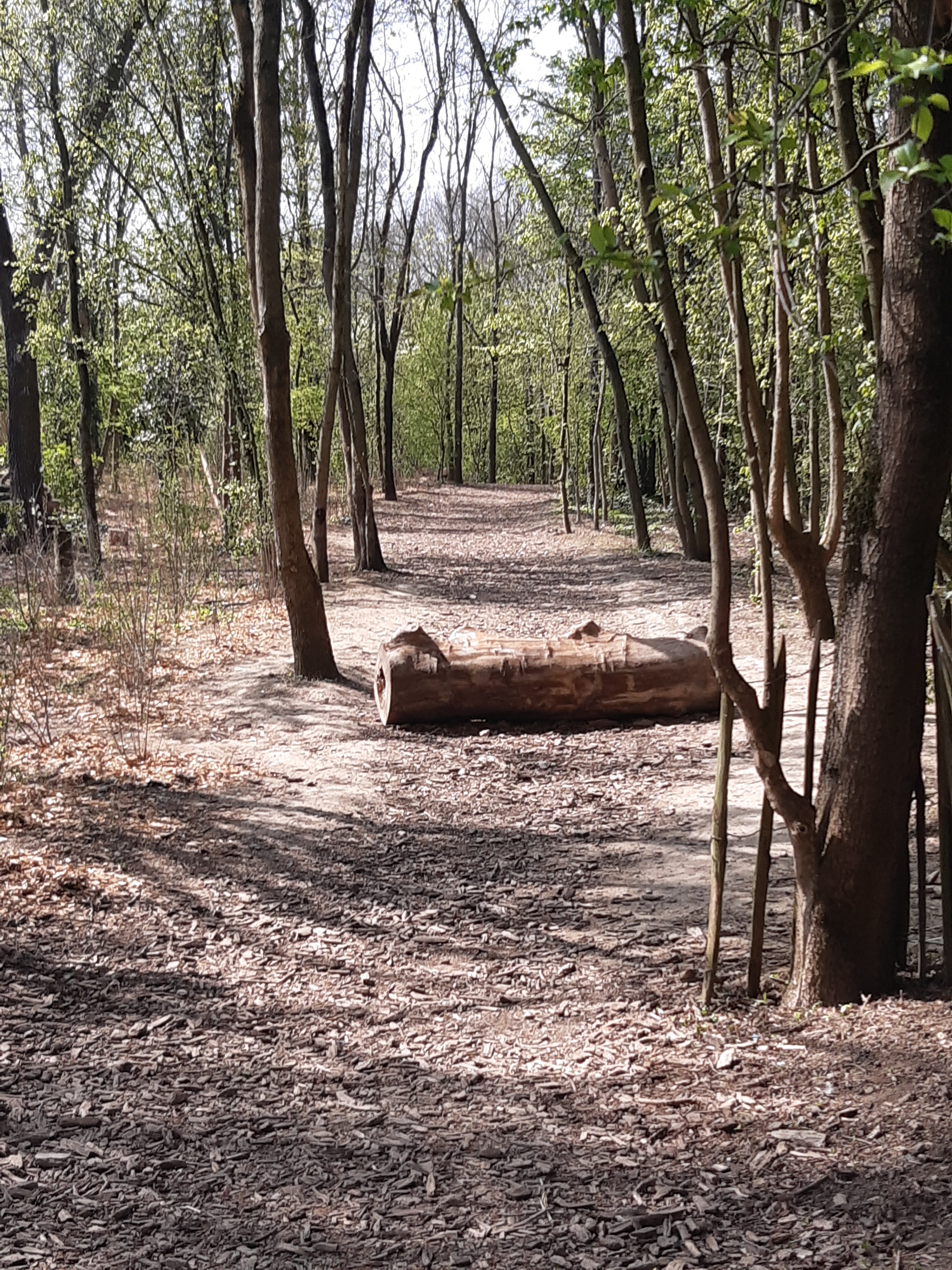 Photo n° 6 de l'avis de Alb. fait le 04/04/2021 à 12:44