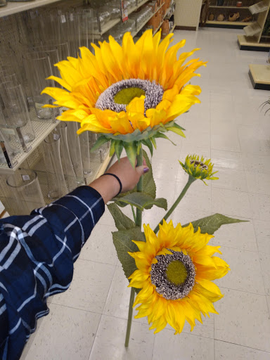 Craft Store «Hobby Lobby», reviews and photos, 3925 Dodge St, Dubuque, IA 52003, USA