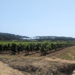 Photo n° 6 de l'avis de Christophe.u fait le 26/07/2023 à 18:13 pour Camping Yelloh! Village Les Tournels à Ramatuelle