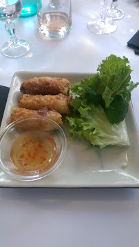Rouleau de printemps du Restaurant vietnamien Étoile d'Asie à Lyon - n°9