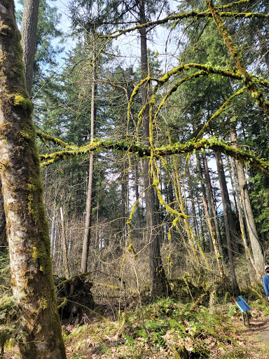Park «Tualatin Hills Nature Park», reviews and photos, 15655 SW Millikan Way, Beaverton, OR 97006, USA