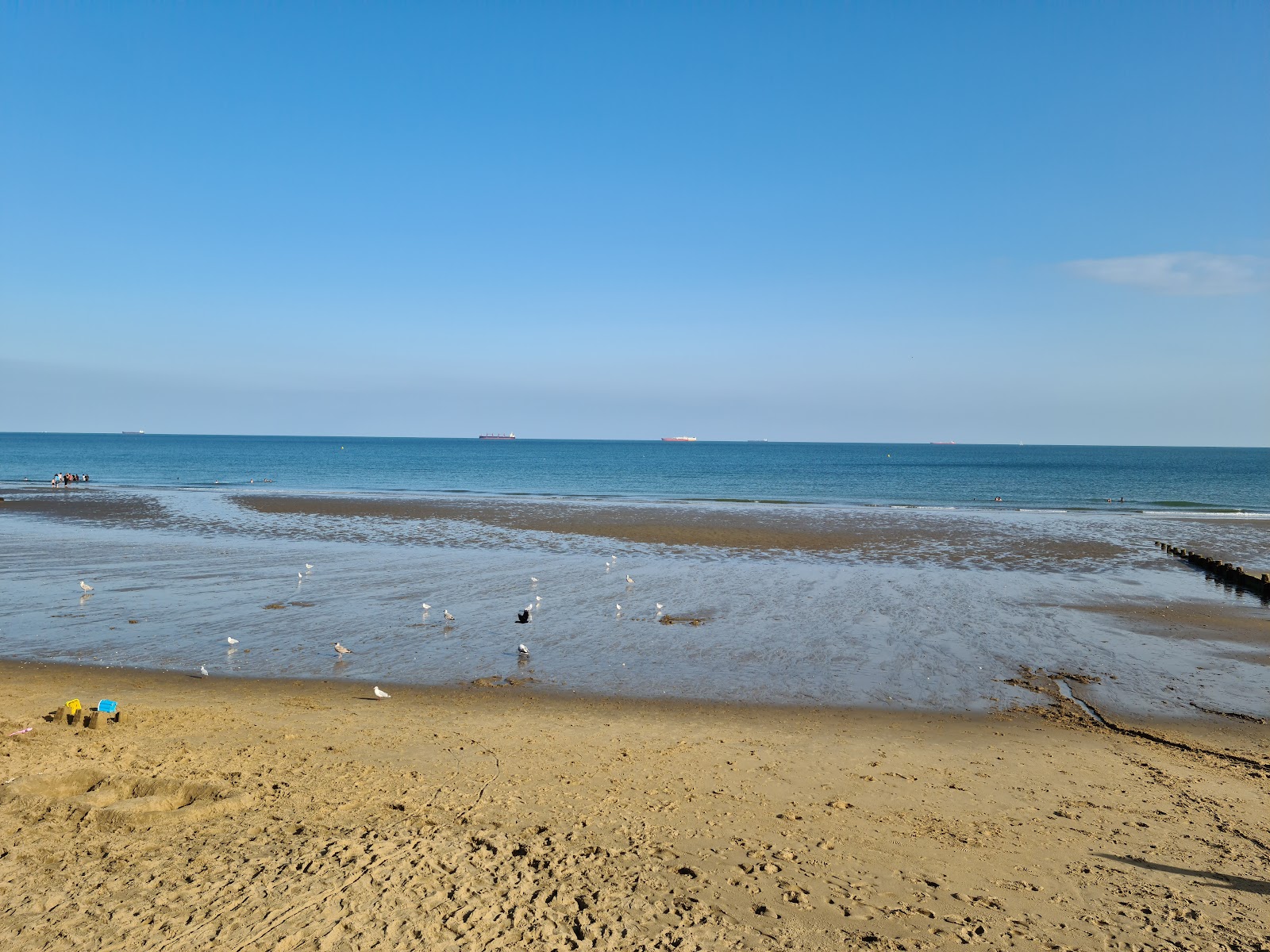 Foto av Sandown strand med lång rak strand