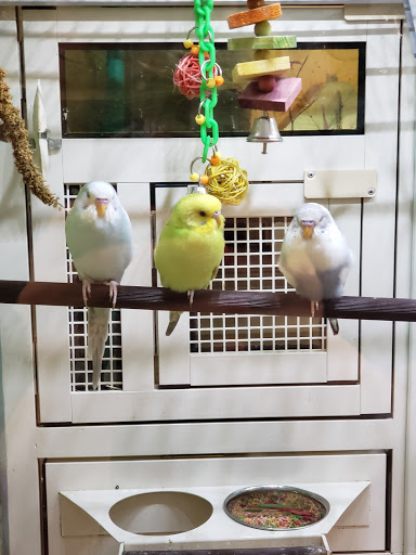 Pet Supply Store «PetSmart», reviews and photos, 1733 S Stapley Dr, Mesa, AZ 85204, USA