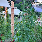 Photo n° 5 de l'avis de Celine.e fait le 19/08/2023 à 15:26 pour Parc de Wesserling - Écomusée Textile à Husseren-Wesserling