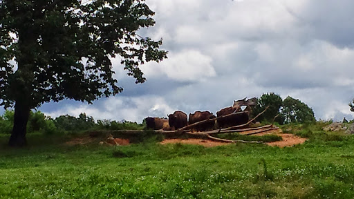 Zoo «North Carolina Zoo», reviews and photos, 4401 Zoo Pkwy, Asheboro, NC 27205, USA