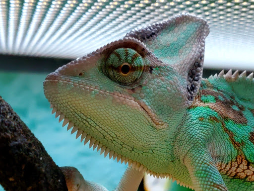 Pet Supply Store «Petco Animal Supplies», reviews and photos, 1333 Centennial Ave, Piscataway Township, NJ 08854, USA