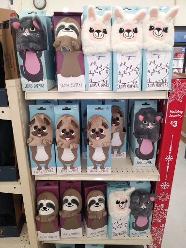 Discount Store «Big Lots», reviews and photos, 303 US-4, Rutland, VT 05701, USA