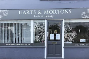 Harts & Mortons Hair & Beauty image