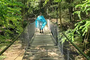 Cook Forest Swinging Bridge image