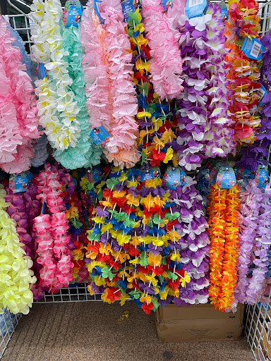 Dollar Store «Dollar Tree», reviews and photos, 180 Milk St, Westborough, MA 01581, USA