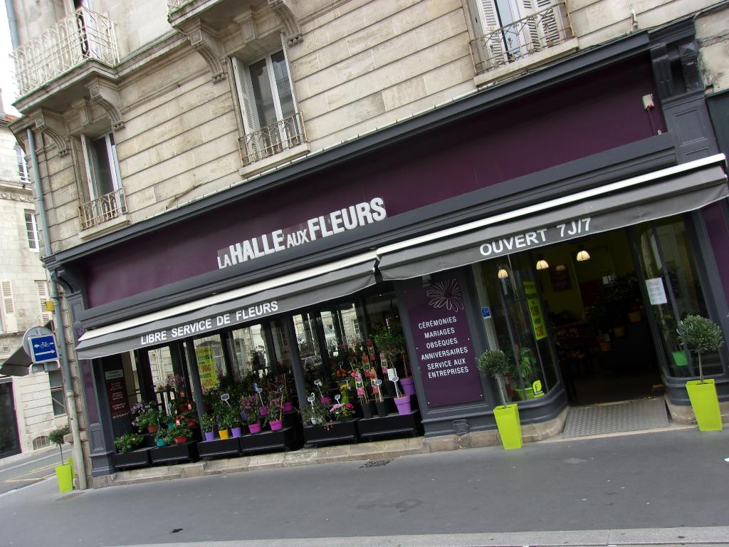 Photo n° 1 de l'avis de Avis.o fait le 24/02/2024 à 03:11