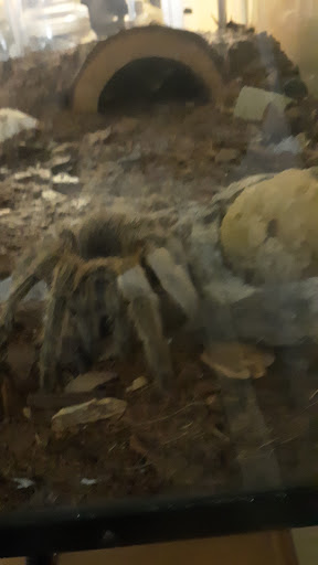 Pet Supply Store «Best Pets», reviews and photos, 905 Washington Ave, Detroit Lakes, MN 56501, USA