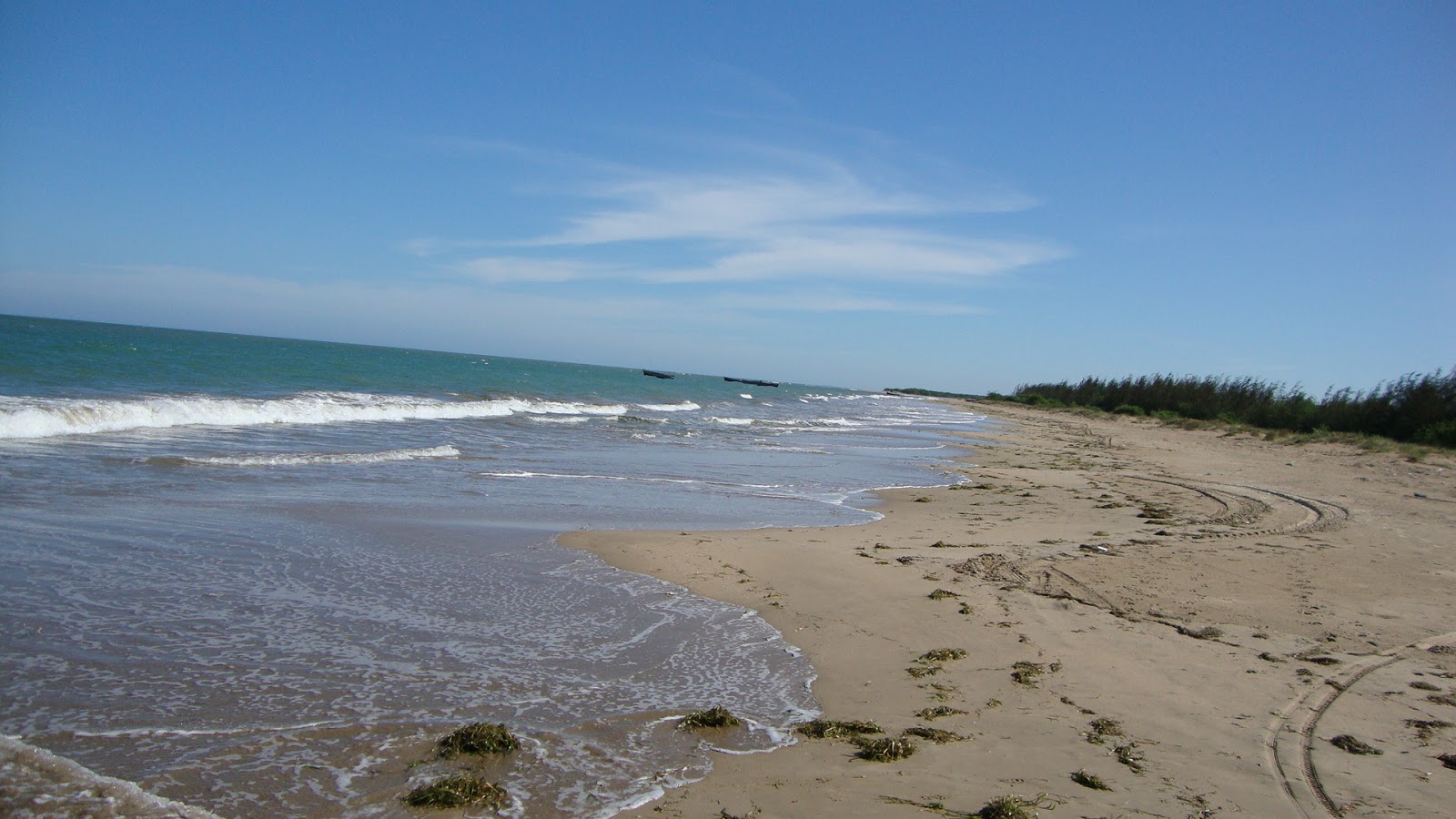 Fotografija Thoothukudi Harbour Beach divje območje