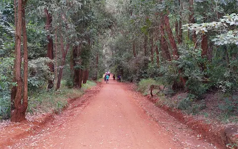 Karura Foot Path image