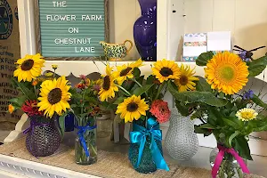 The Flower Farm on Chestnut Lane image