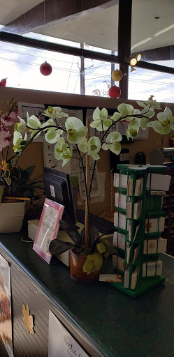 Florist «Phoenix Flower Shops», reviews and photos, 5018 W Northern Ave, Glendale, AZ 85302, USA