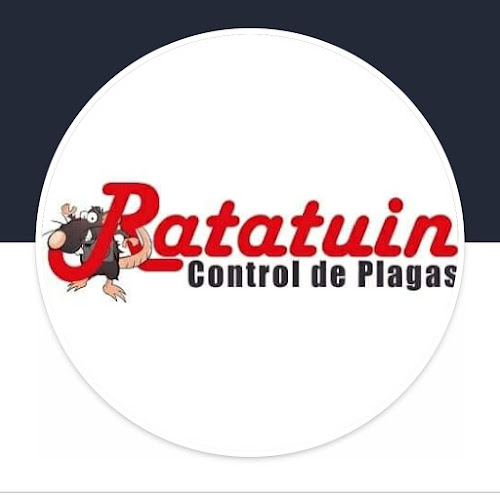 Ratatuin Ltda - Puerto Montt