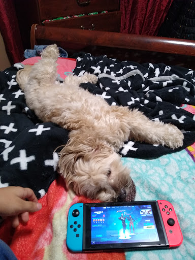 Pharmacy «Walgreens Pharmacy», reviews and photos, 2311 Ogden Ave, Aurora, IL 60504, USA